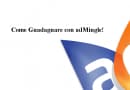 AdMingle Come Funziona?